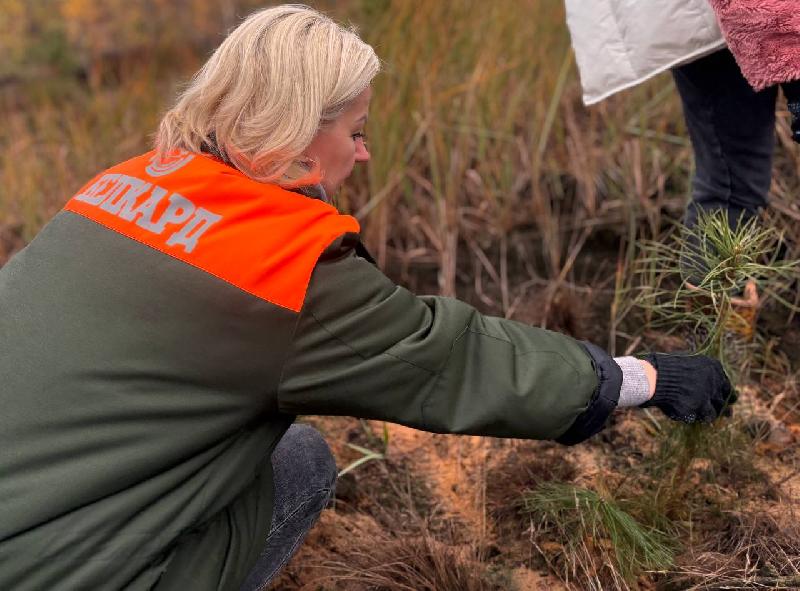 К акции «Дай лесу новае жыцце» в рамках Года благоустройства присоединились работники ОАО "Белкард", г. Гродно